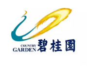滨海碧桂园地产